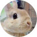 厶ッちゃん profile picture